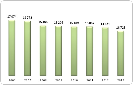 Absolwenci kierunków informatycznych 
szkół wyższych w Polsce w latach 2006-2013