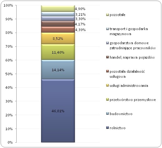 Procentowy udział oświadczeń 
wydanych cudzoziemcom w poszczególnych sekcjach PKD w 2014 roku (w %)